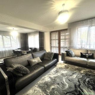 Vila in Slatina langa parcul Dumitru Dobrescu Str Strandului