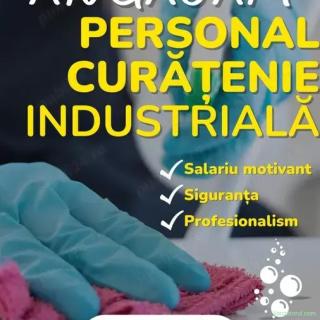 Angajam - personal curatenie-(dame) - 766254618