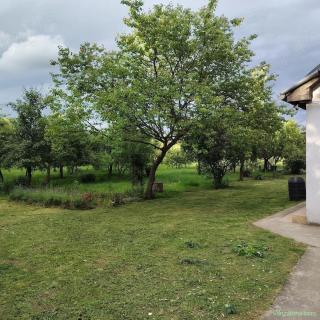Casa de vanzare
