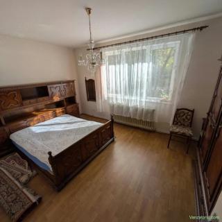 Proprietate deosebita, suprafata generoasa, cartier Grigorescu