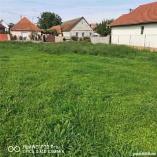 Teren Intravilan (Gradina), 808 mp Vladimirescu