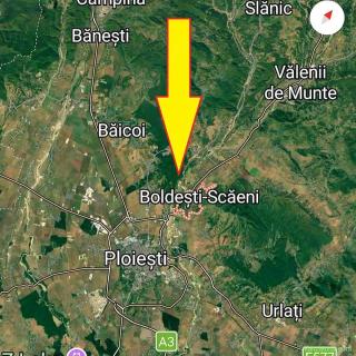 Vanzare 10000 mp padure stejar la Boldesti-Scaieni posibilitate parc distractii