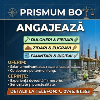 Angajam Meseriasi in Constructii