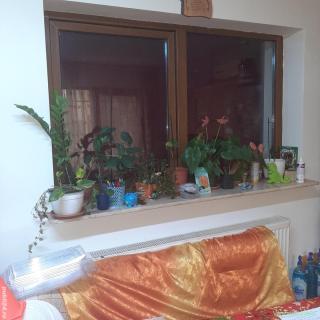 Vand apartament cu 3 cam decomandat cu bucatarie de 22 m și terasa cu balcon