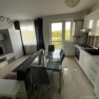 Apartament 2 camere Baroque Residence Bucium