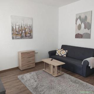 Apartament 1 camera, bucatarie, baie si hol, mobilat, utilat si cu gradina