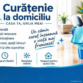 Curățenie la domiciliu