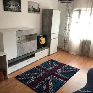 De inchiriat apartament 1 camera in zona Blascovici