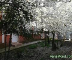 Casa Silistea