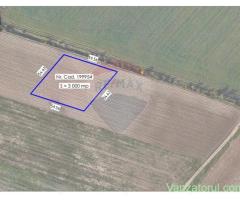 Teren agricol • Vanzare, cumparare, anunturi, preturi