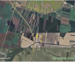 Teren agricol 5 Ha in Arad zona Sannicolau Mic, 11.800 Euro Ha