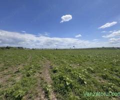 Teren agricol • Vanzare, cumparare, anunturi, preturi