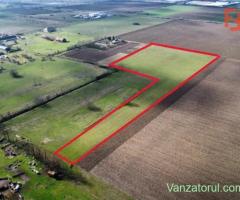 Teren intravilan 2 hectare in Padureni – oportunitate investitie sau dezvoltare