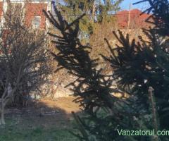 Proprietar vand casa zona Balcescu