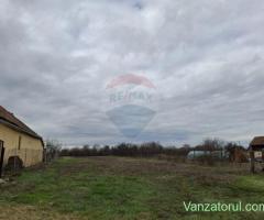 Teren intravilan 1,241mp Frumușeni, Arad
