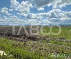 Teren 9000 mp intravilan PUZ aprobat Comision 0 zona industriala vest