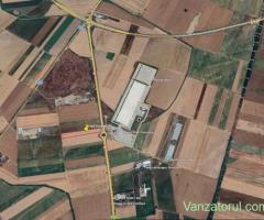 Vand teren intravilan agricol in Sag, vis a vis de Depozitul Profi Timișoara
