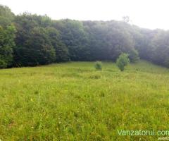 Teren extravilan • Vanzare, cumparare, anunturi, preturi
