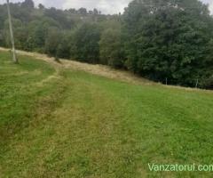 Teren de vanzare,2807 mp