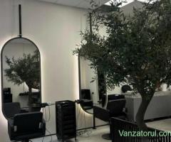Frizerie, coafura, cosmetica • 300+ Locuri de munca