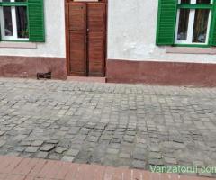 Spatiu de inchiriat in centru Medias