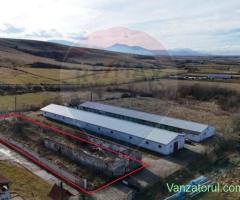 Hale si spatii industriale de vanzare • Anunturi si preturi