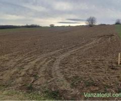 Teren intravilan • Vanzare, cumparare, anunturi, preturi