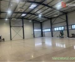 Hala industriala 500 mp + birouri, 1398 mp teren, acces TIR - Giarmata Vii