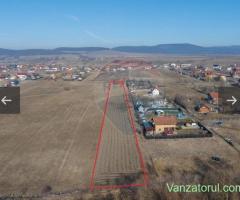 De vanzare teren intravilan in Podul Olt-Harman suprafata 5500 mp