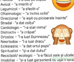 Vand bicicleta adulti FoxRam