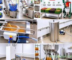 Linie suc natural fructe si legume utilaje procesare mere pere catina morcovi sfecla