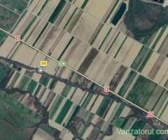 TEREN DE VÂNZARE DN6 (E70) GAVOJDIA, TIMIȘ | 18.300 mp, până la 30.000 mp